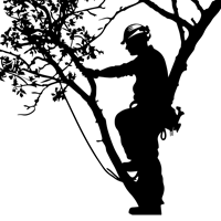 Logo Pro Élagage Tournefeuille Paysagiste